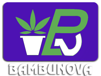 Bambu Nova