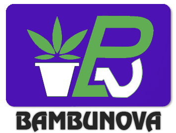 Bambu Nova