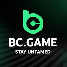 Exploring the Features of BC.Game Crypto Casino